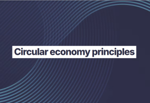 Circular Economy Principles