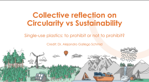 COLLECTIVE REFLECTION